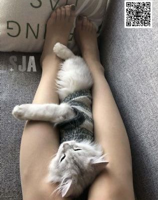 久久久久高清视频_BD英语电影全集观看